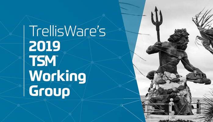 TrellisWare’s 4th Annual TSM™ Working Group Generates a Synergistic Effect between Partners