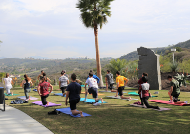 Careers Yoga